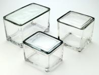 Staining Dish Glass with Stainless Steel Racks