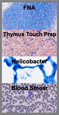 Histological Stain Kit Differential