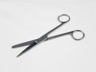Scissors 16.5cm blunt sharp tip economy grade