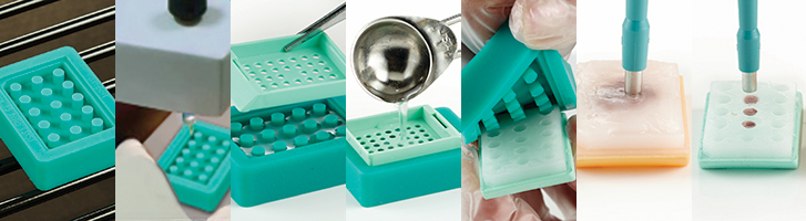 Tissue Microarray (TMA) Mold Kits