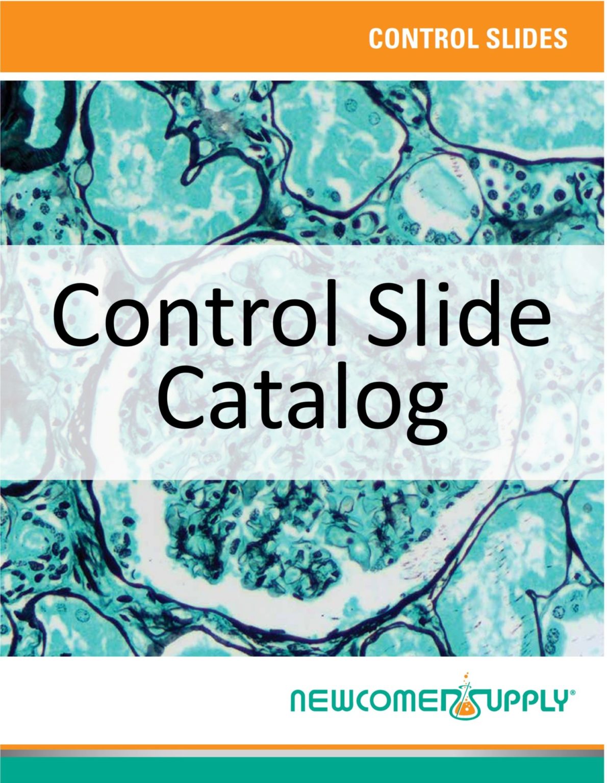 Histology Slides