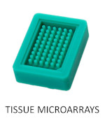 Tissue Microarray Molds and Paraffin Blocks