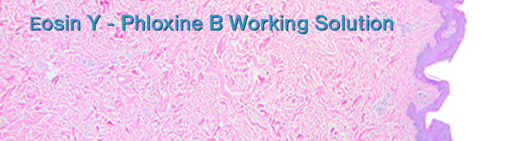 Ready to use enhanced counterstain