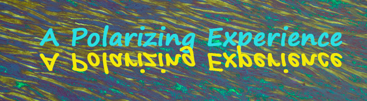 Amyloid Control Slides