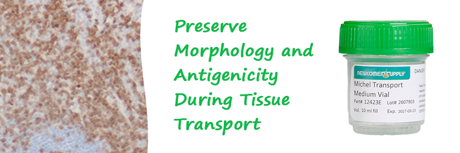 Michel Transport Medium