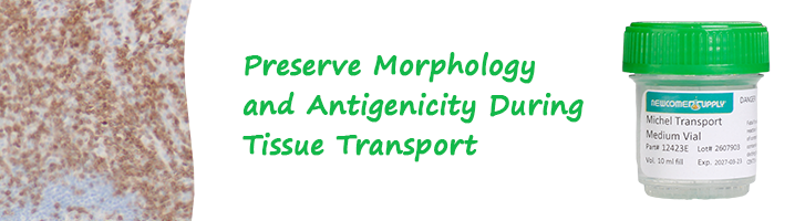 Michel Transport Medium