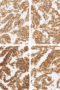 MMR-A Cell Line Blocks from HistoCyte